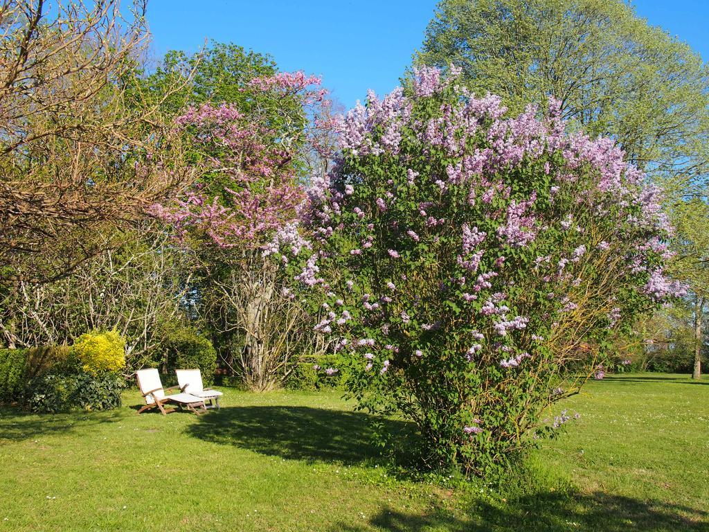 Gite De Charme Au Bord Du Tarn Marssac-sur-Tarn Dış mekan fotoğraf