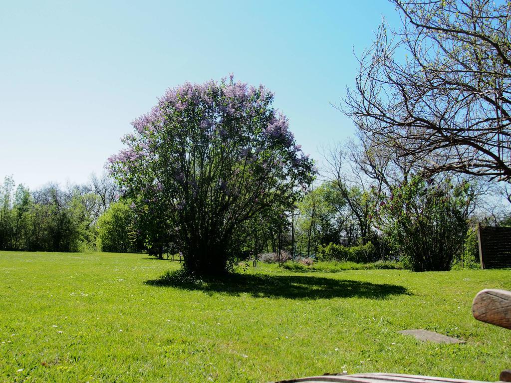 Gite De Charme Au Bord Du Tarn Marssac-sur-Tarn Dış mekan fotoğraf