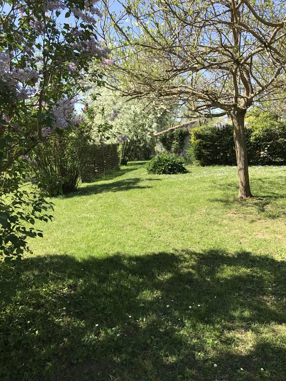 Gite De Charme Au Bord Du Tarn Marssac-sur-Tarn Dış mekan fotoğraf