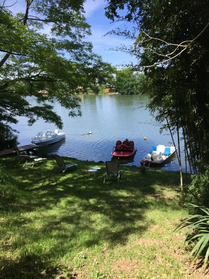 Gite De Charme Au Bord Du Tarn Marssac-sur-Tarn Dış mekan fotoğraf
